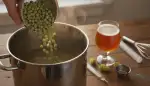 Hopfen: Die Seele des Bieres