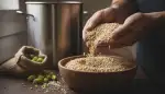 Pilsner Malz: Das Herz des Bieres
